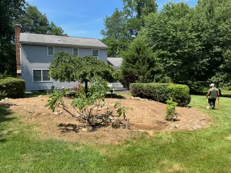 Cesar's Lawn Maintenance and Masonry