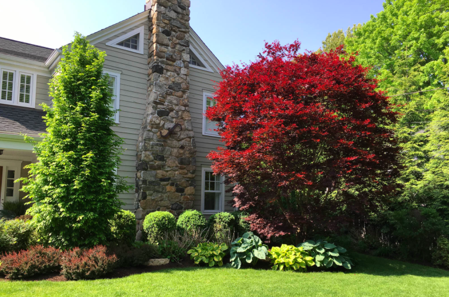 Perfect Plantings, LLC