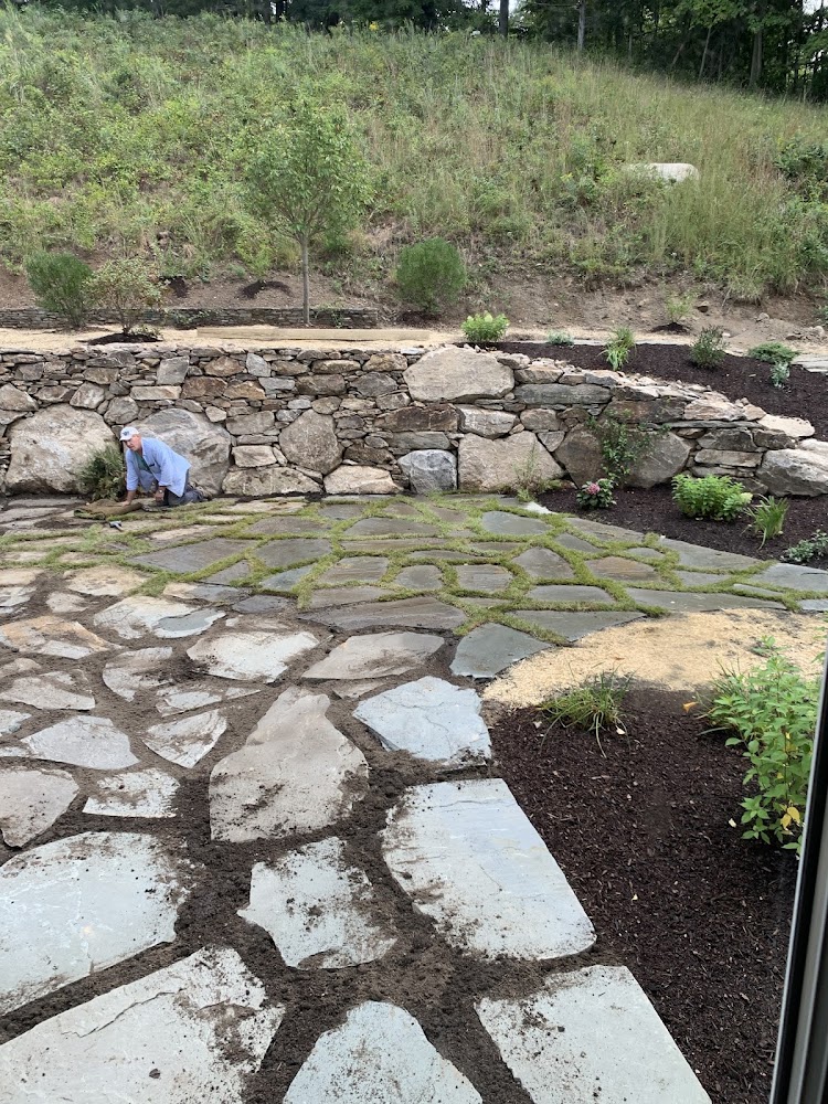 See Level Landscape Design