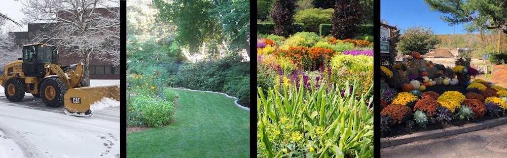 Donnellan & Sons Landscaping