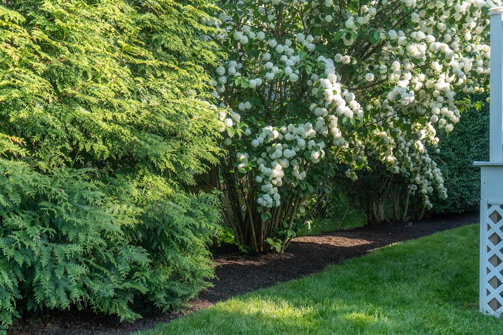 TwoGen Landscaping